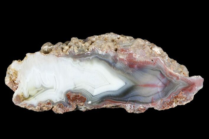 Polished Agate Nodule with Wegeler Effect - Agouim, Morocco #181312